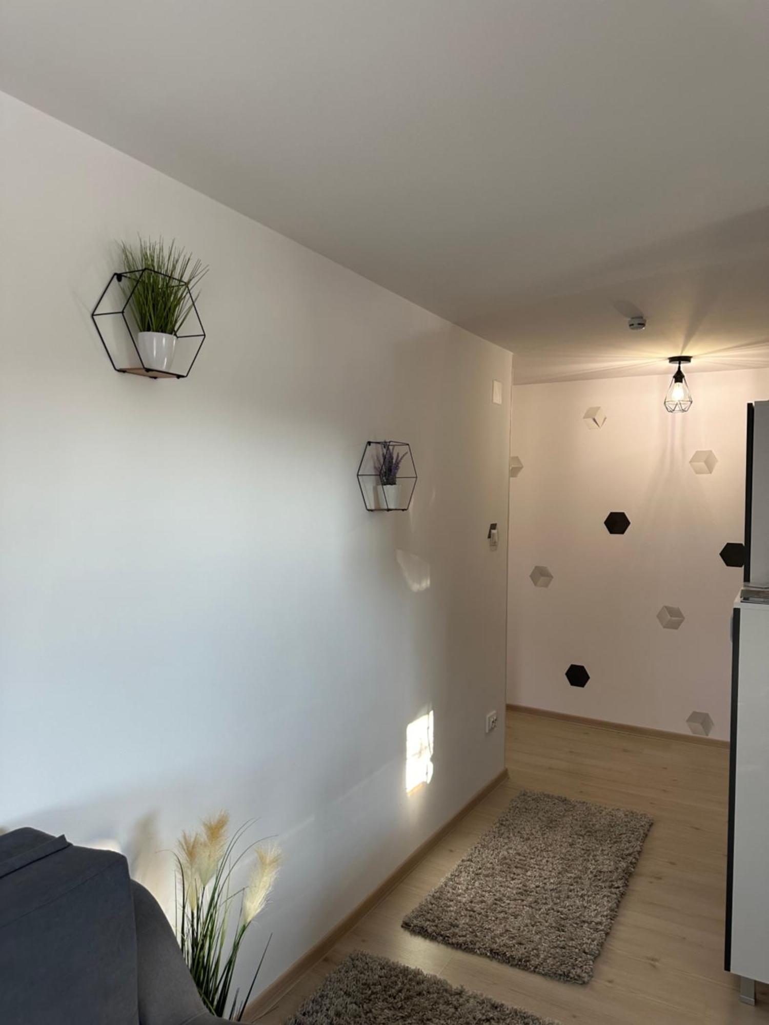 Jokai Apartments Nr7, Code Entry Sfântu-Gheorghe 외부 사진